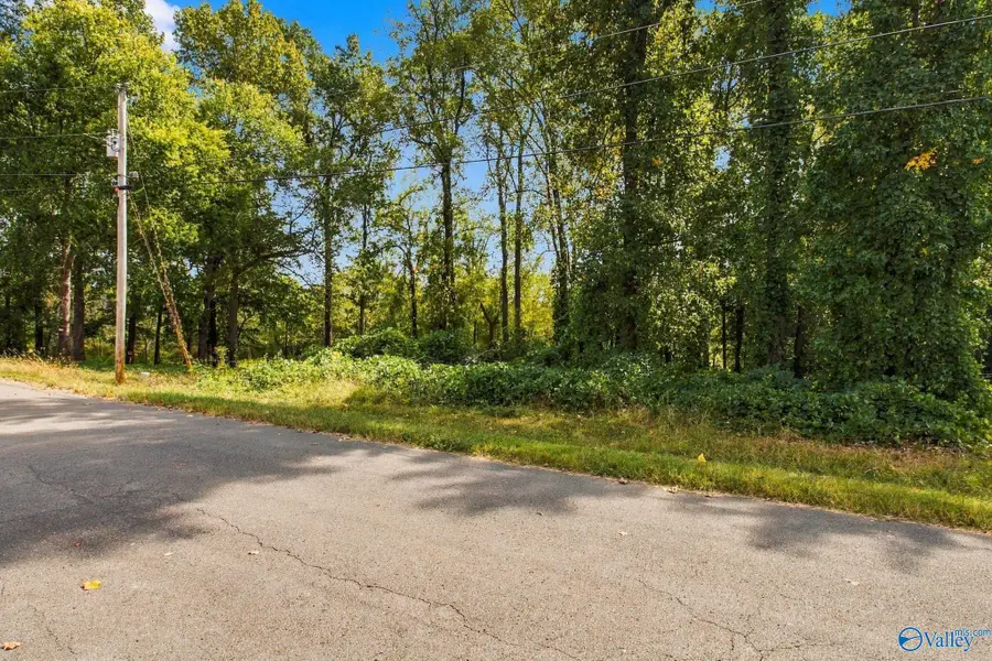 132 Easy Street, Hazel Green, AL 35750 - #3