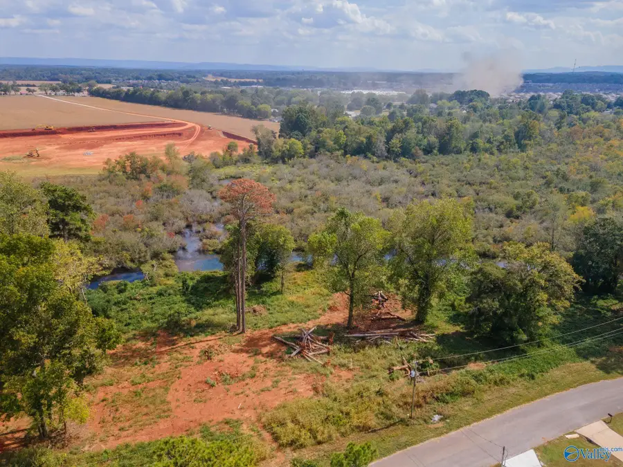 142 Easy Street, Hazel Green, AL 35750 - #2