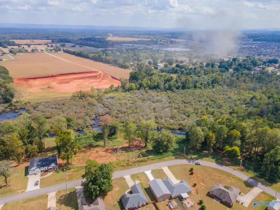 142 Easy Street, Hazel Green, AL 35750 - #3