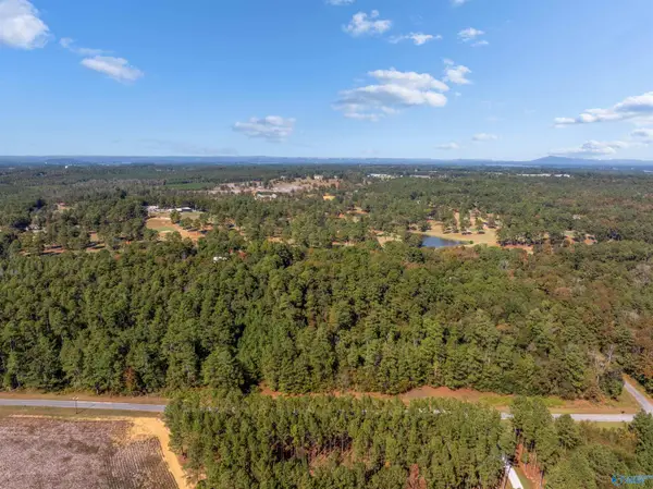 Lots 7-8, 10-26 County Road 380, Centre, AL 35960
