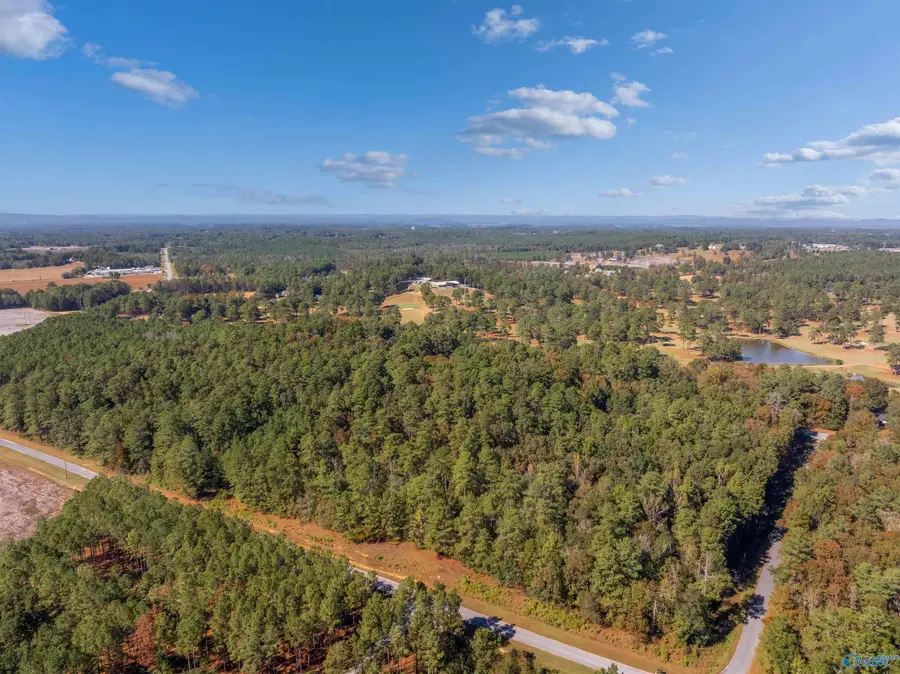 Lots 7-8, 10-26 County Road 380, Centre, AL 35960 - #3