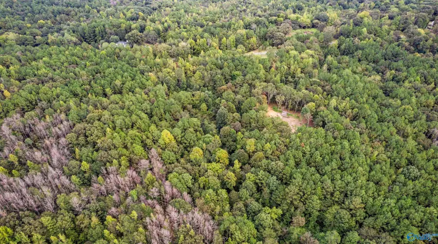 1696 Woods Bend Road, Ragland, AL 35131 - #2