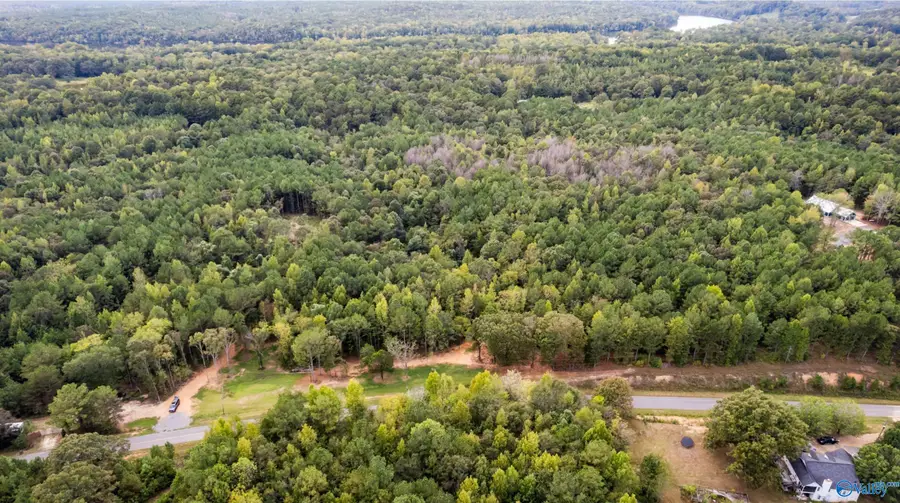 1696 Woods Bend Road, Ragland, AL 35131 - #3
