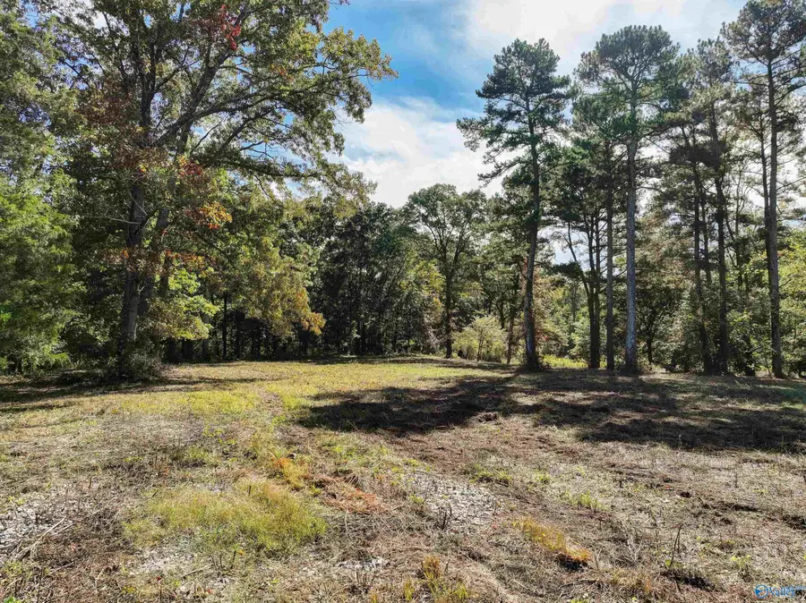 6.78 Matt Morrow Road, Joppa, AL 35087 - #2