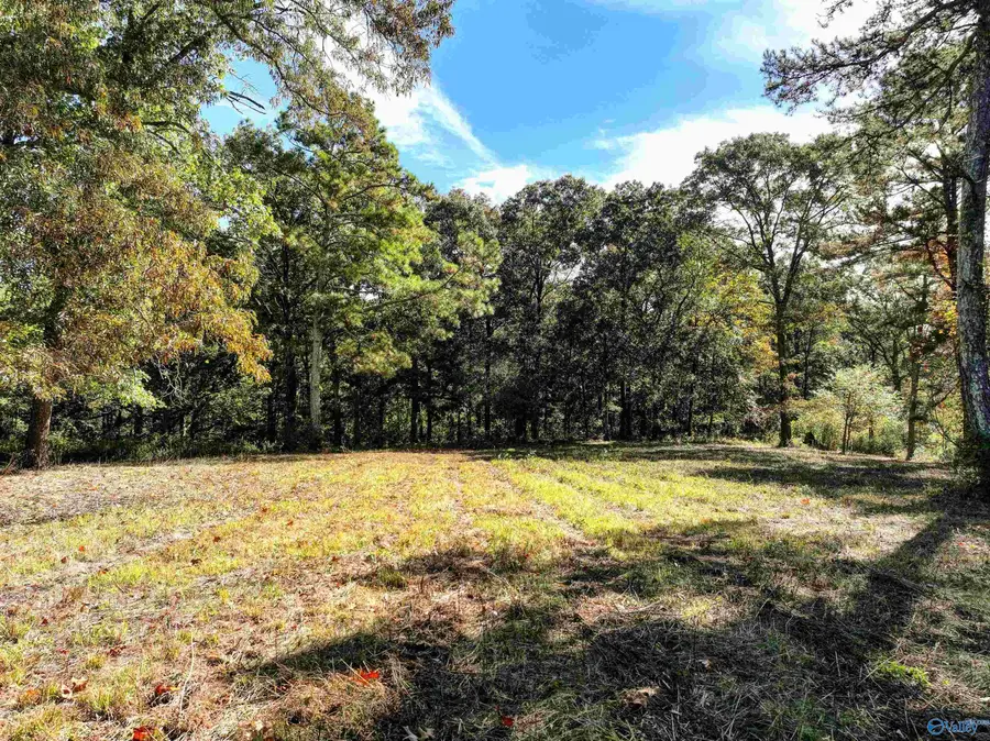 6.78 Matt Morrow Road, Joppa, AL 35087 - #3