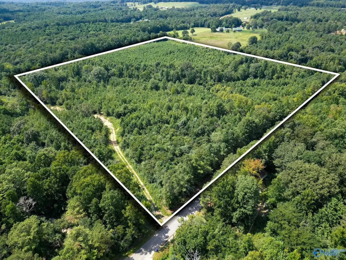 039 Walker Mountain Road, Boaz, AL 35956 - #1