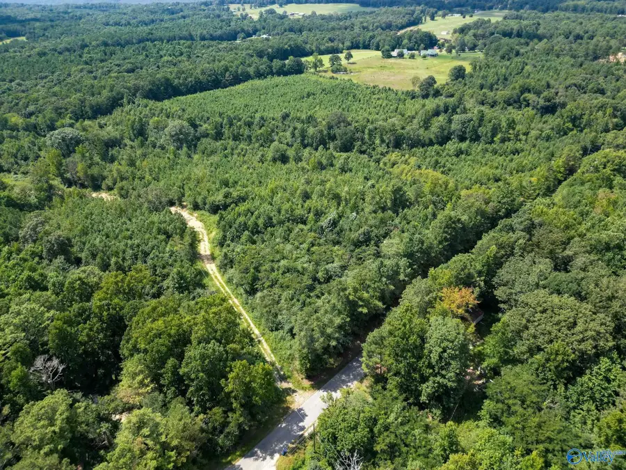039 Walker Mountain Road, Boaz, AL 35956 - #2