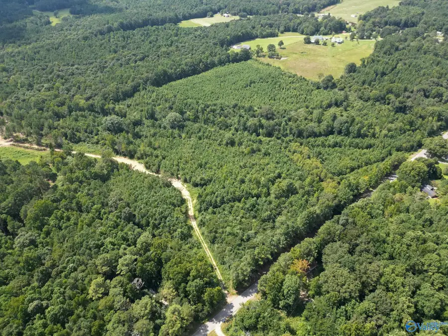 039 Walker Mountain Road, Boaz, AL 35956 - #3