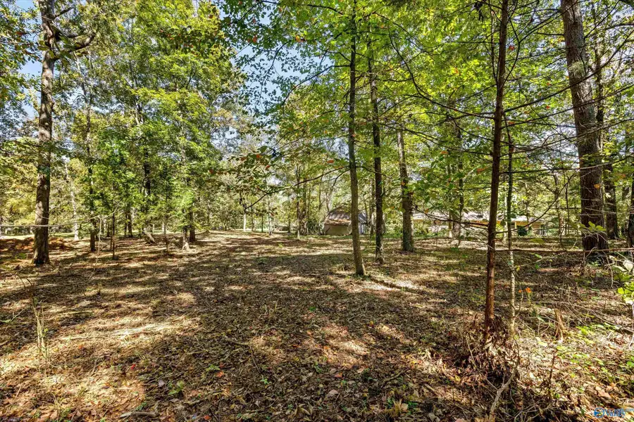 172 Hughes Circle, Laceys Spring, AL 35754 - #3