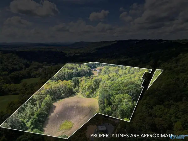 6021 Sand Valley Road, Attalla, AL 35954
