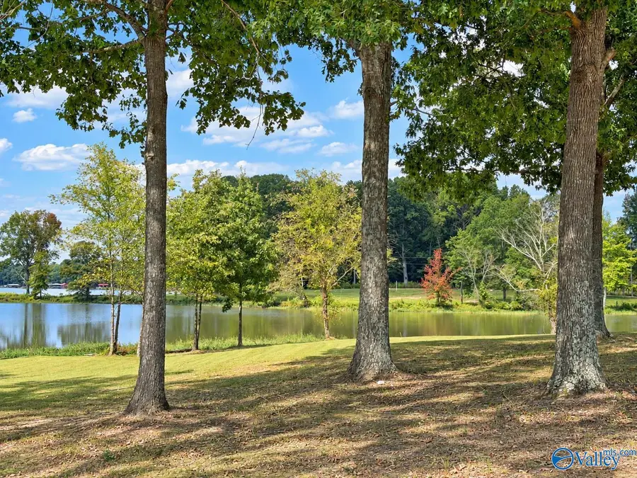 Lots 47, 1-3 County Road 115, Cedar Bluff, AL 35959 - #3