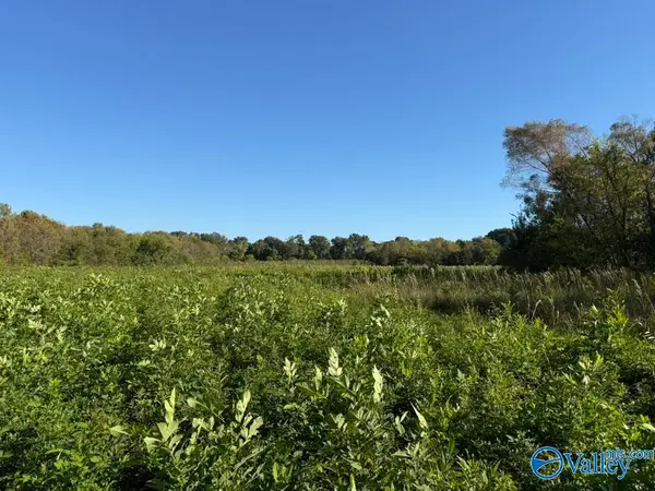 10.55 Acres Alabama Highway 67, SOMERVILLE, AL 35670