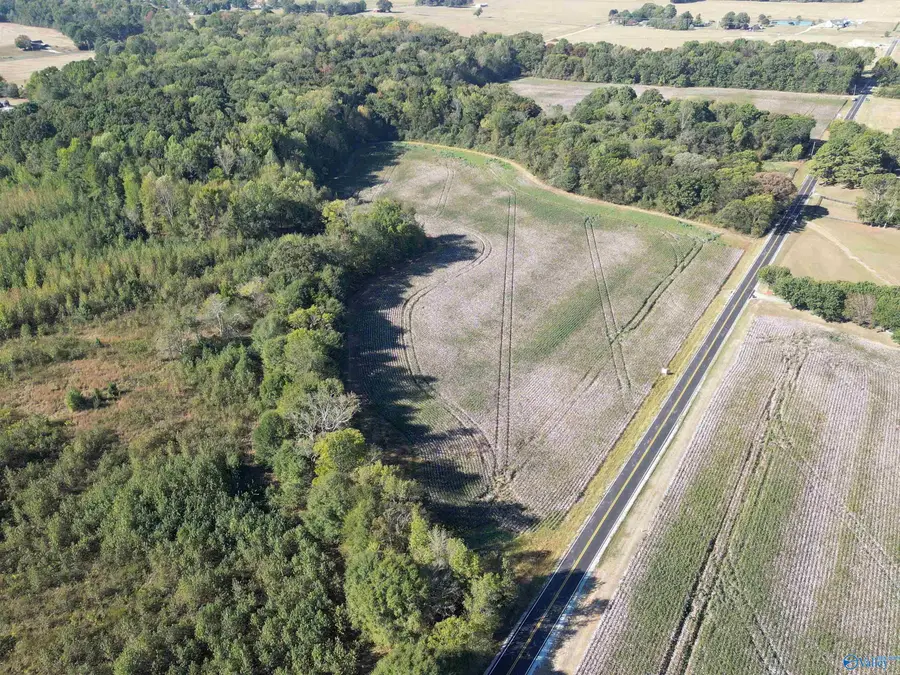 37 acres Ed Ray Road, Athens, AL 35613 - #2