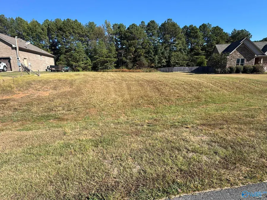 Lot 9 Evergreen Lane, Athens, AL 35613 - #3