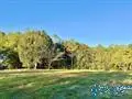 624 Kirby Bridge Road, Danville, AL 35619 - #1