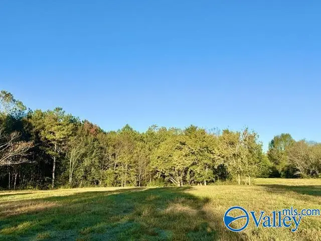 624 Kirby Bridge Road, Danville, AL 35619 - #3