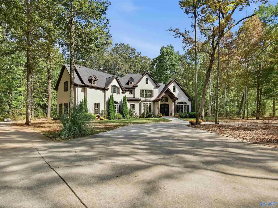 199 Toney Acres Drive, Toney, AL 35773 - #3