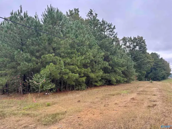 2.27 acre Highway 231, ARAB, AL 35016