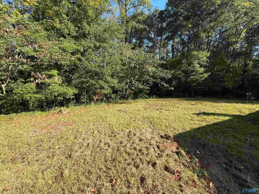 110 May Road, Hartselle, AL 35640 - #3