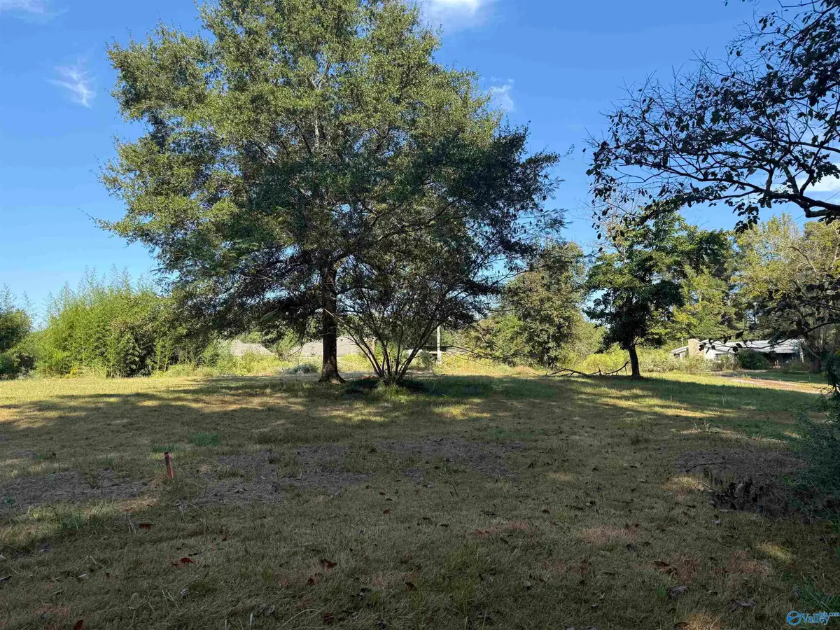 95 May Road, Hartselle, AL 35640 - #1