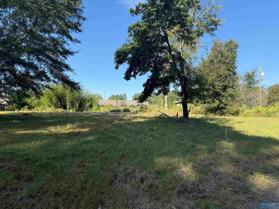 95 May Road, Hartselle, AL 35640 - #3