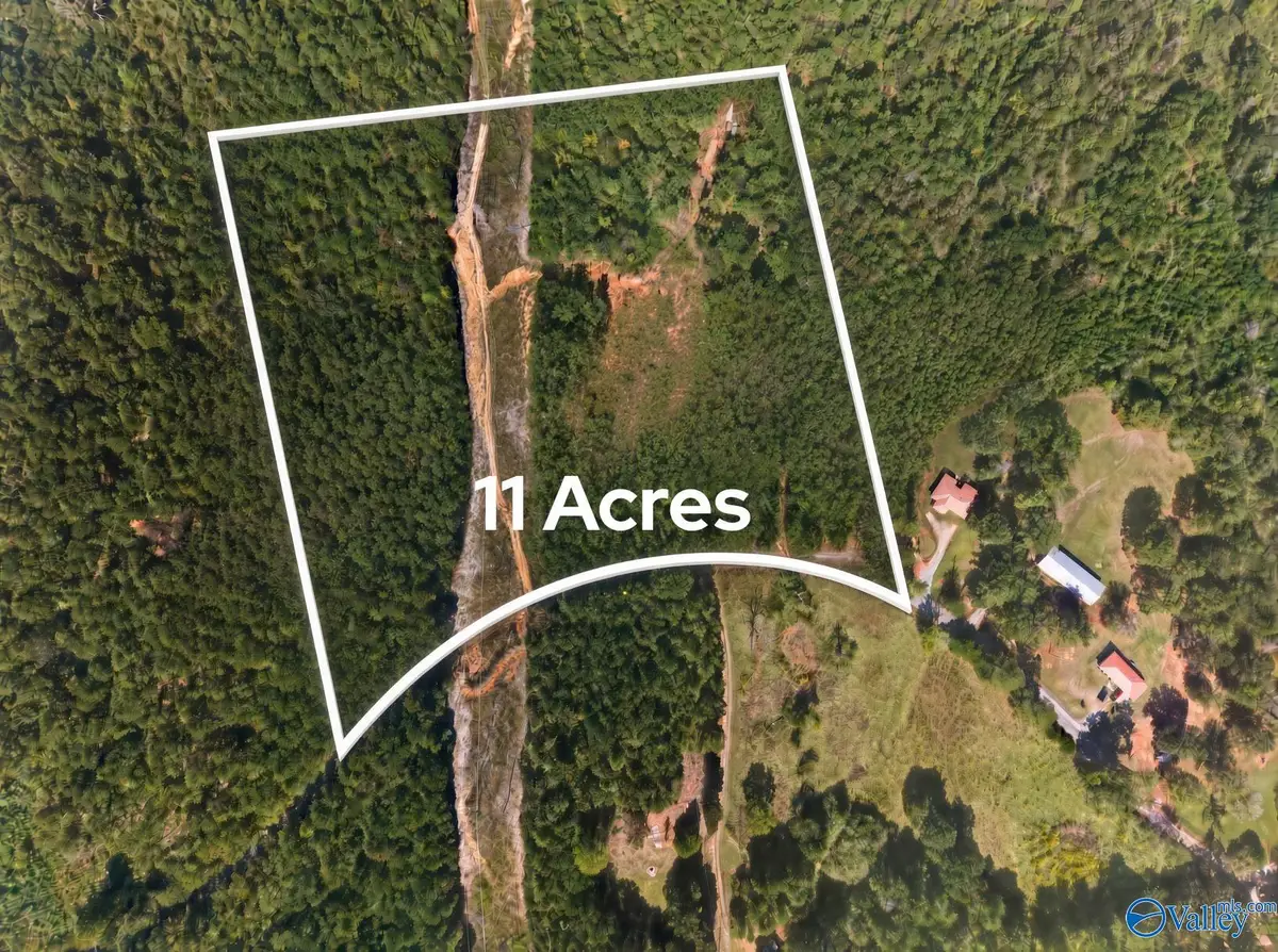 11 Acres County Road 297, Talladega, AL 35160 - #1