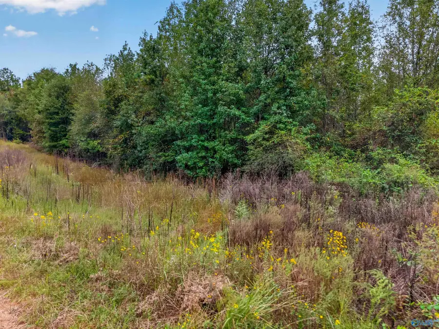 11 Acres County Road 297, Talladega, AL 35160 - #3