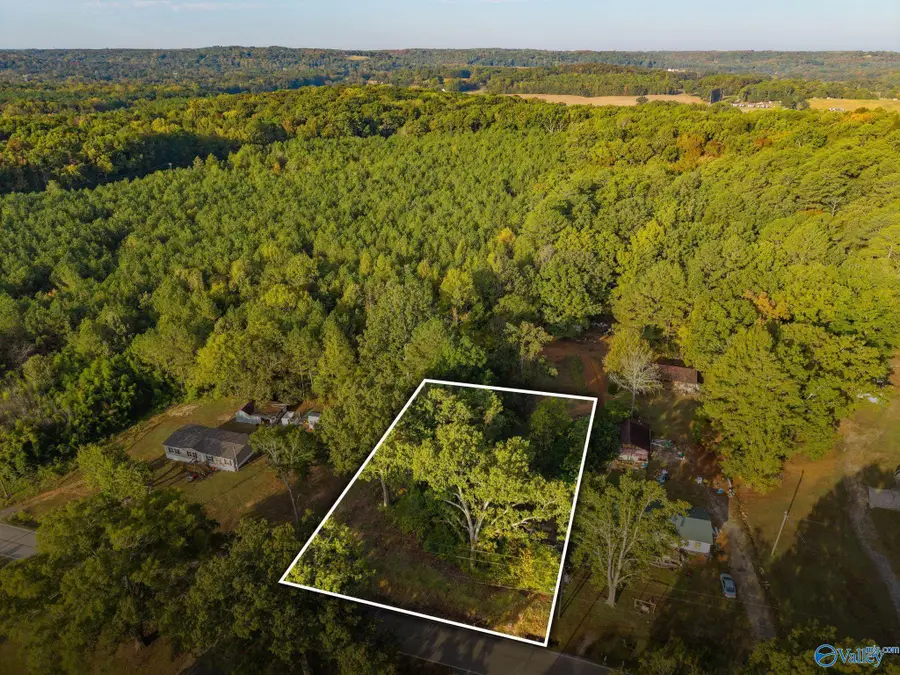 2056 Cain Road, Somerville, AL 35670 - #3
