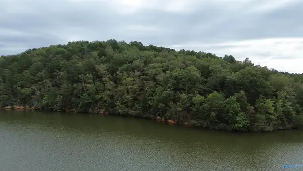 1 Highway 273, Leesburg, AL 35983