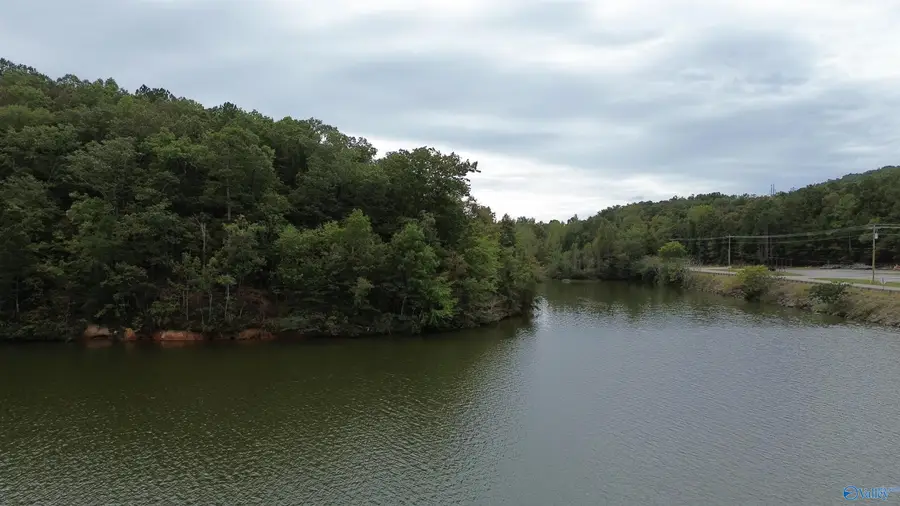1 Highway 273, Leesburg, AL 35983 - #2