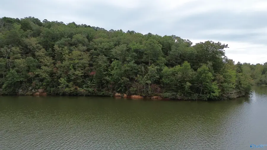 1 Highway 273, Leesburg, AL 35983 - #3