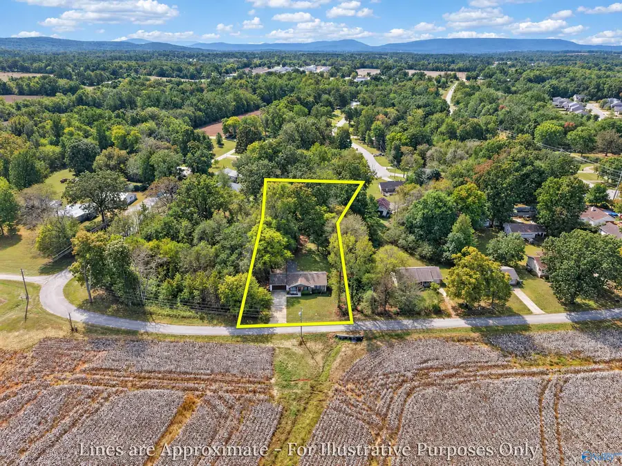 142 Deposit Road, New Market, AL 35761 - #2