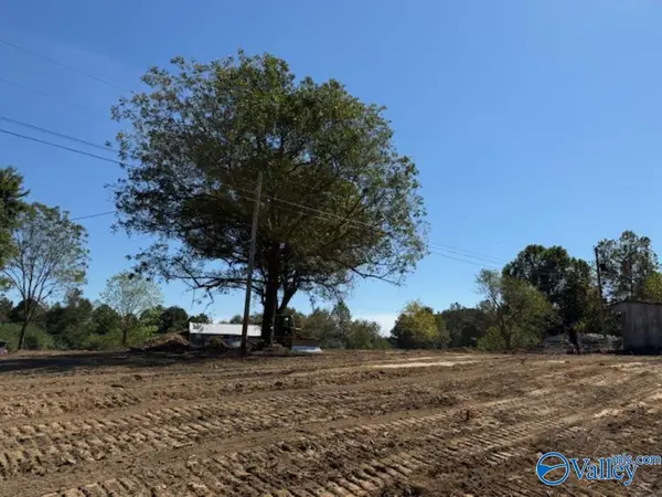 Lot 1 County Road 1497, VINEMONT, AL 35179