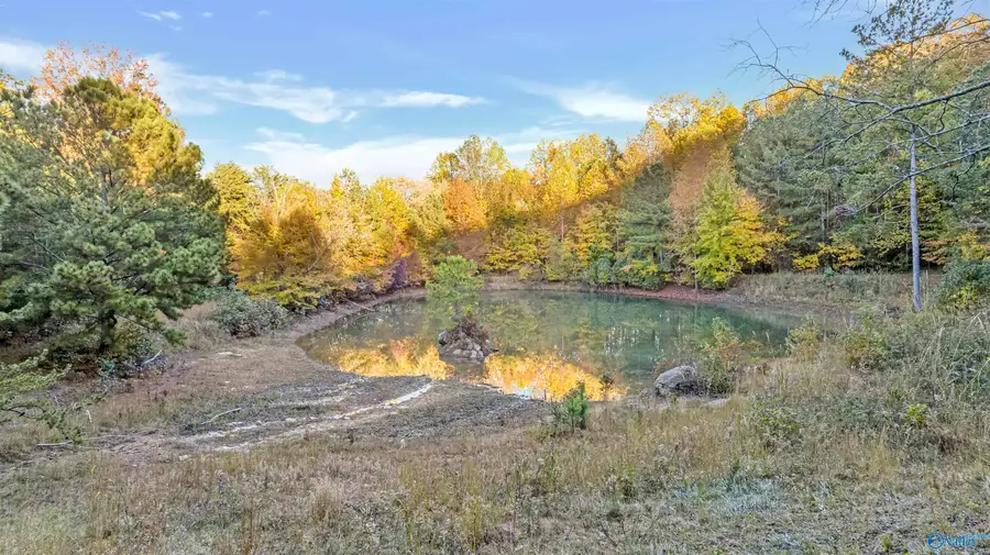 Lot 5 County Road 166, Fort Payne, AL 35967 - #2