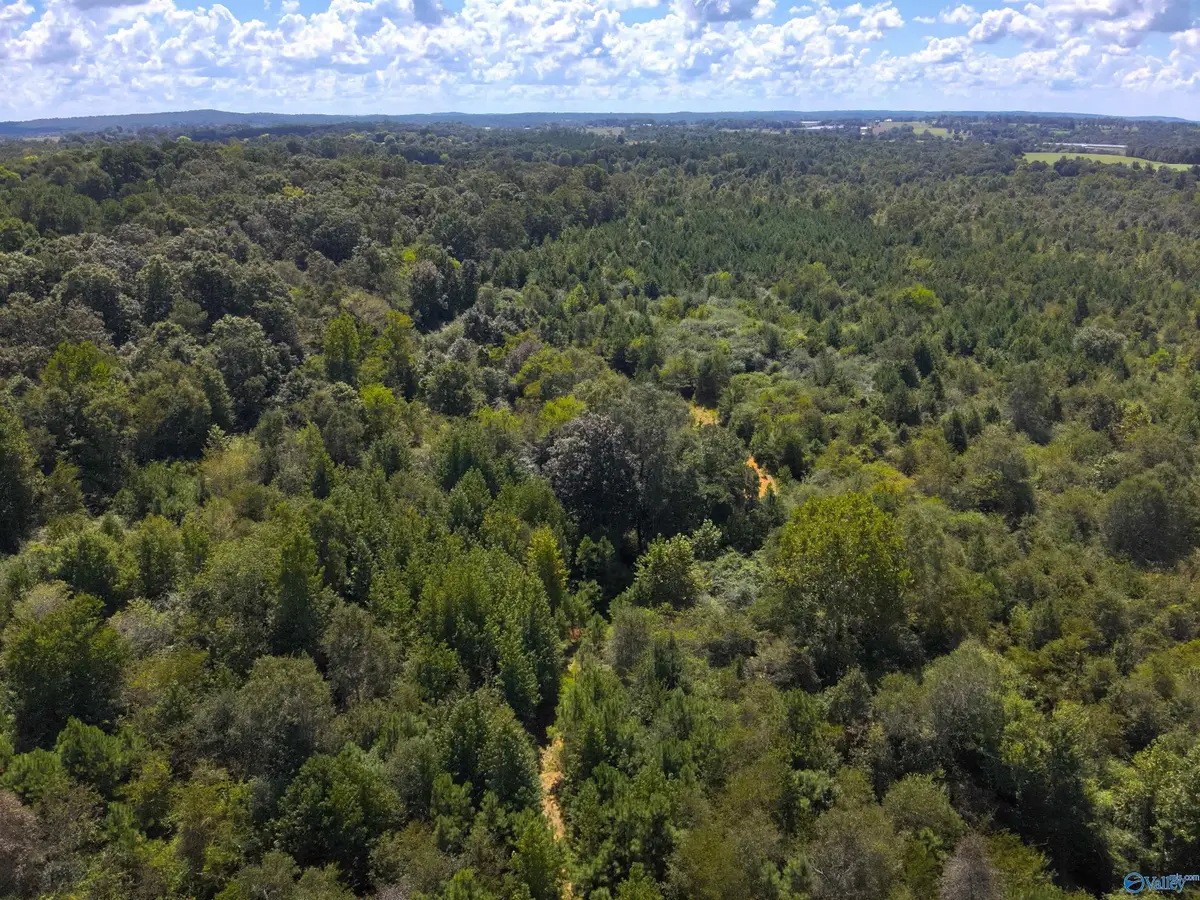 Lot 1 New Harmony Road, Arab, AL 35016 - #1