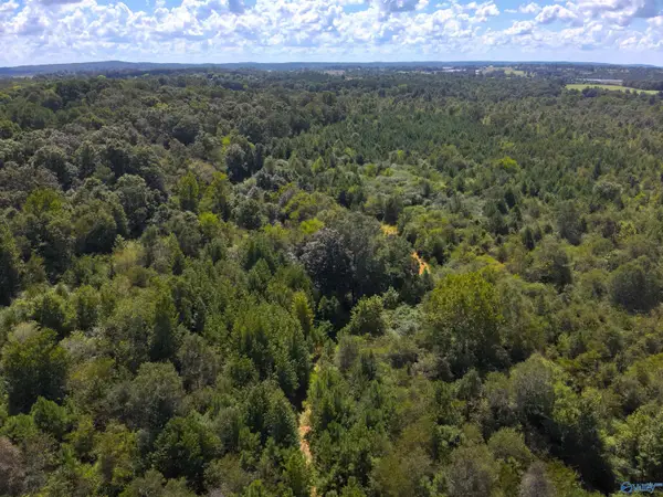 Lot 1 New Harmony Road, ARAB, AL 35016