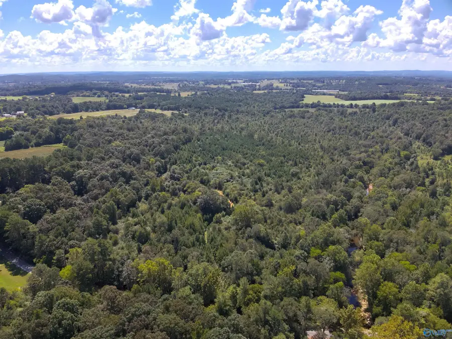 Lot 1 New Harmony Road, Arab, AL 35016 - #2