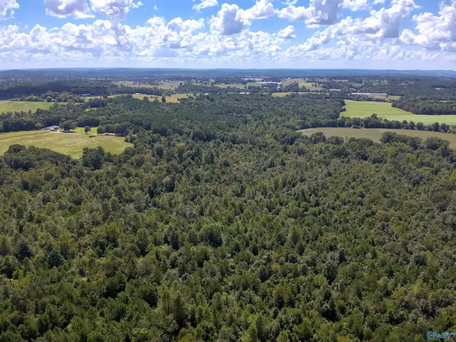 Lot 2 New Harmony Road, Arab, AL 35016 - #3