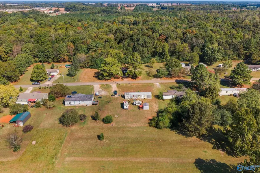 156 Flint River Drive, New Market, AL 35761 - #3