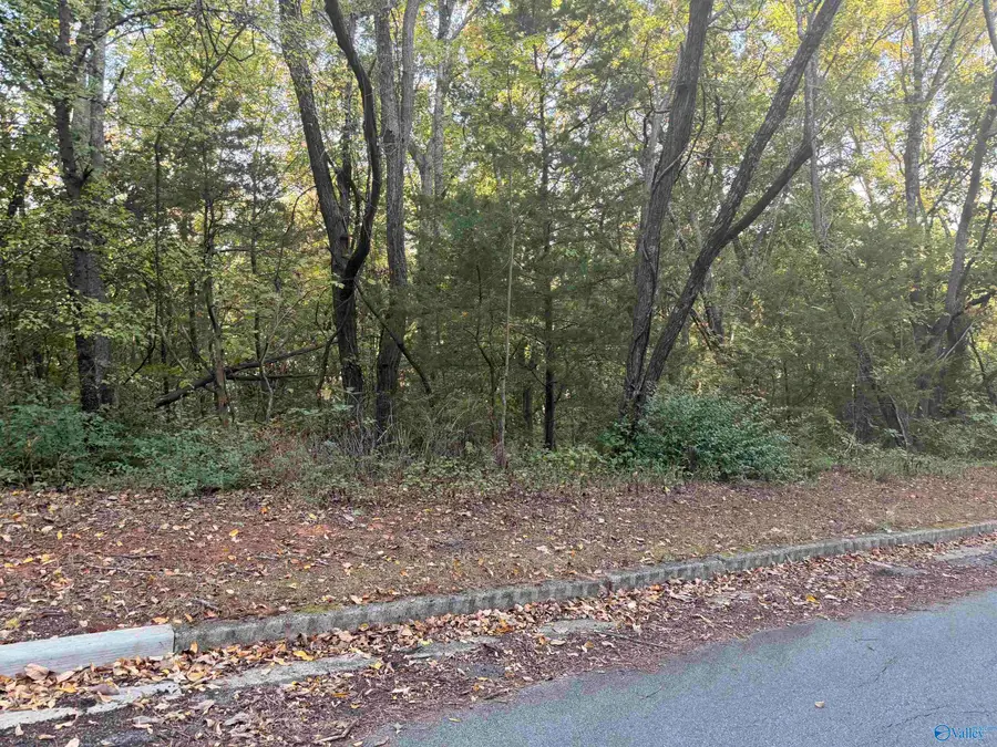 15008 Greentree Trail Se, Huntsville, AL 35803 - #2