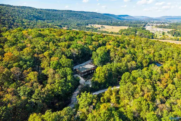 497 South Green Mountain Road, Owens Cross Roads, AL 35763
