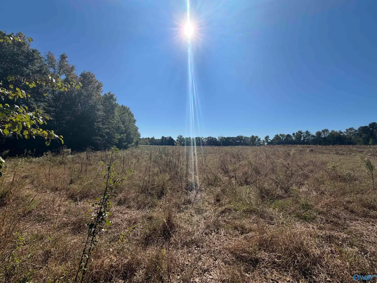 22 acres Moon Road, Horton, AL 35980 - #1