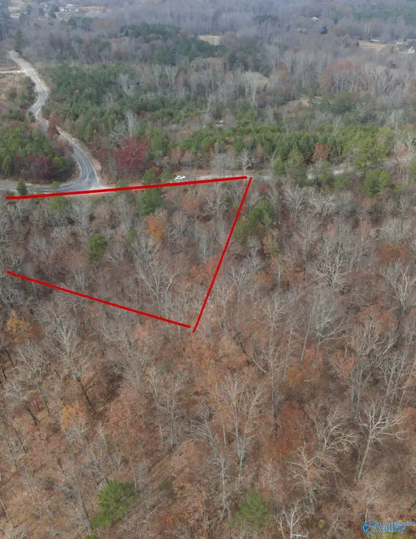 lot#0 County Road 70, Leesburg, AL 35983