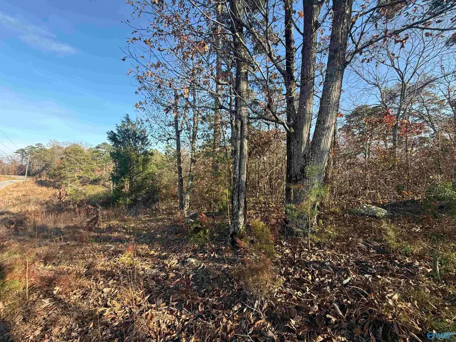 lot#0 County Road 70, Leesburg, AL 35983 - #2