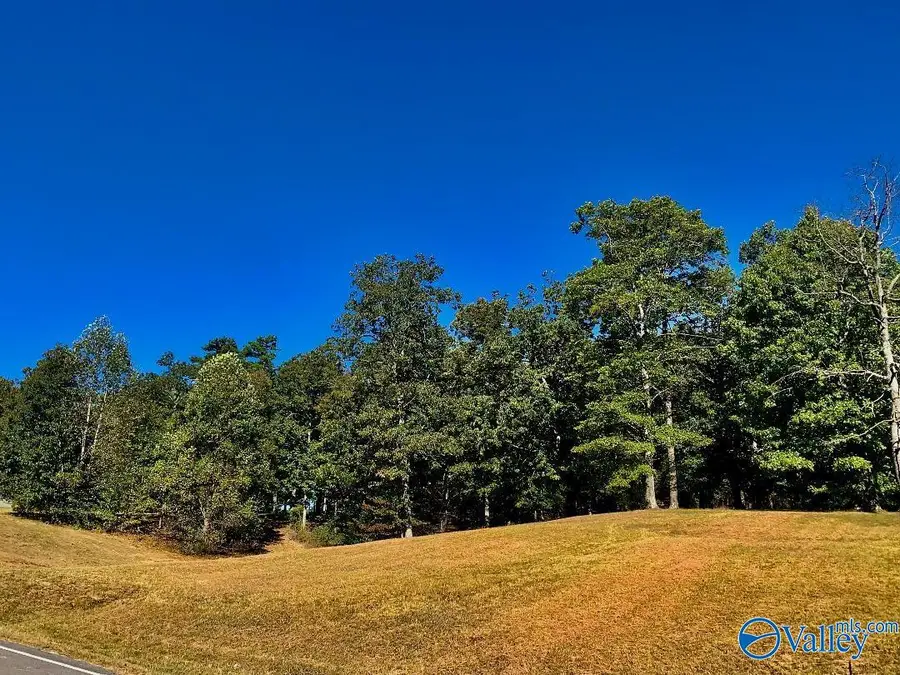 145,147,149 Hillsdale Drive, Gurley, AL 35748 - #3