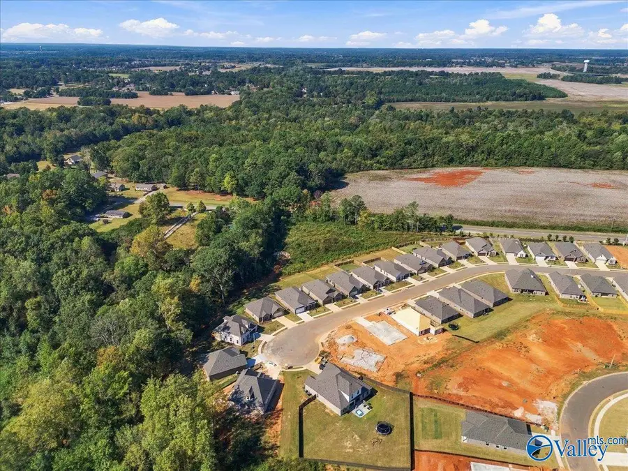 2.5 acres Sanderson Road, Harvest, AL 35749 - #2