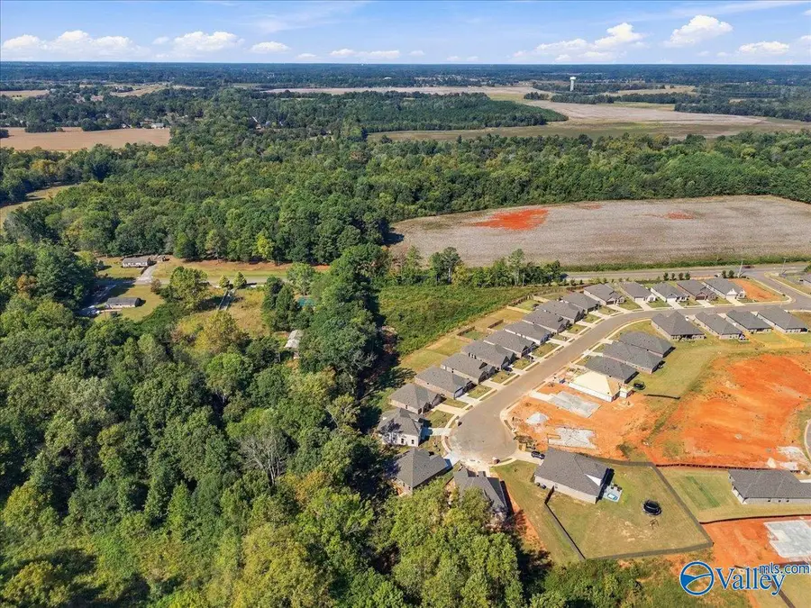 2.5 acres Sanderson Road, Harvest, AL 35749 - #3