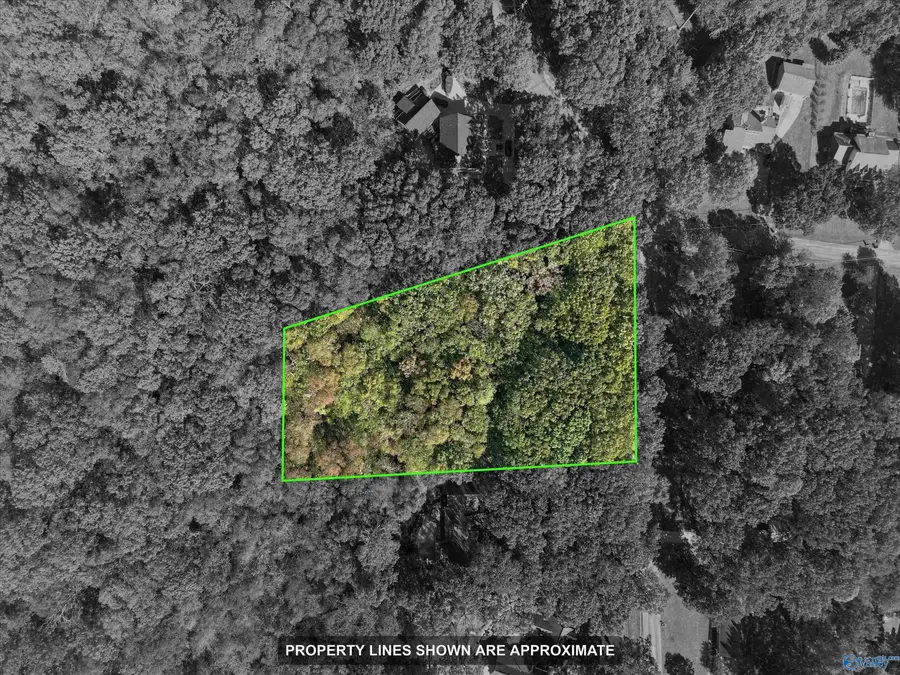 128 Huntington Ridge Road, Madison, AL 35757 - #2