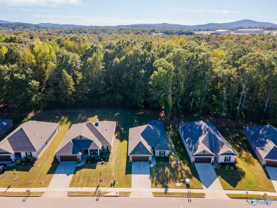 154 Midpark Drive, Meridianville, AL 35759 - #2