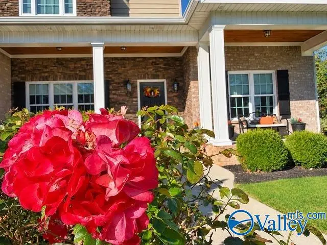 3505 Little Drive, Hartselle, AL 35640 - #3